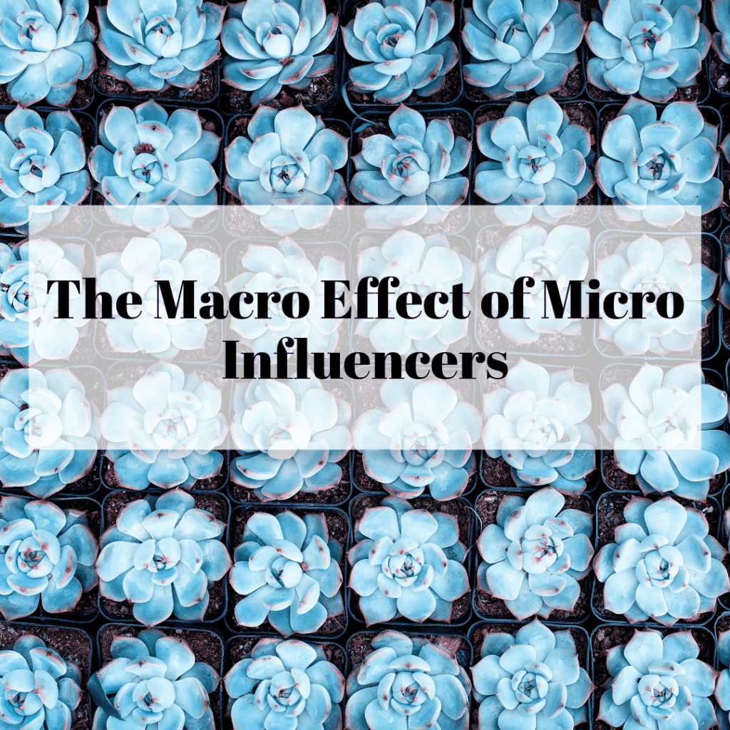 Micro influencers