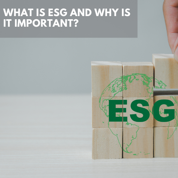 What Is ESG And Why Is It Important?