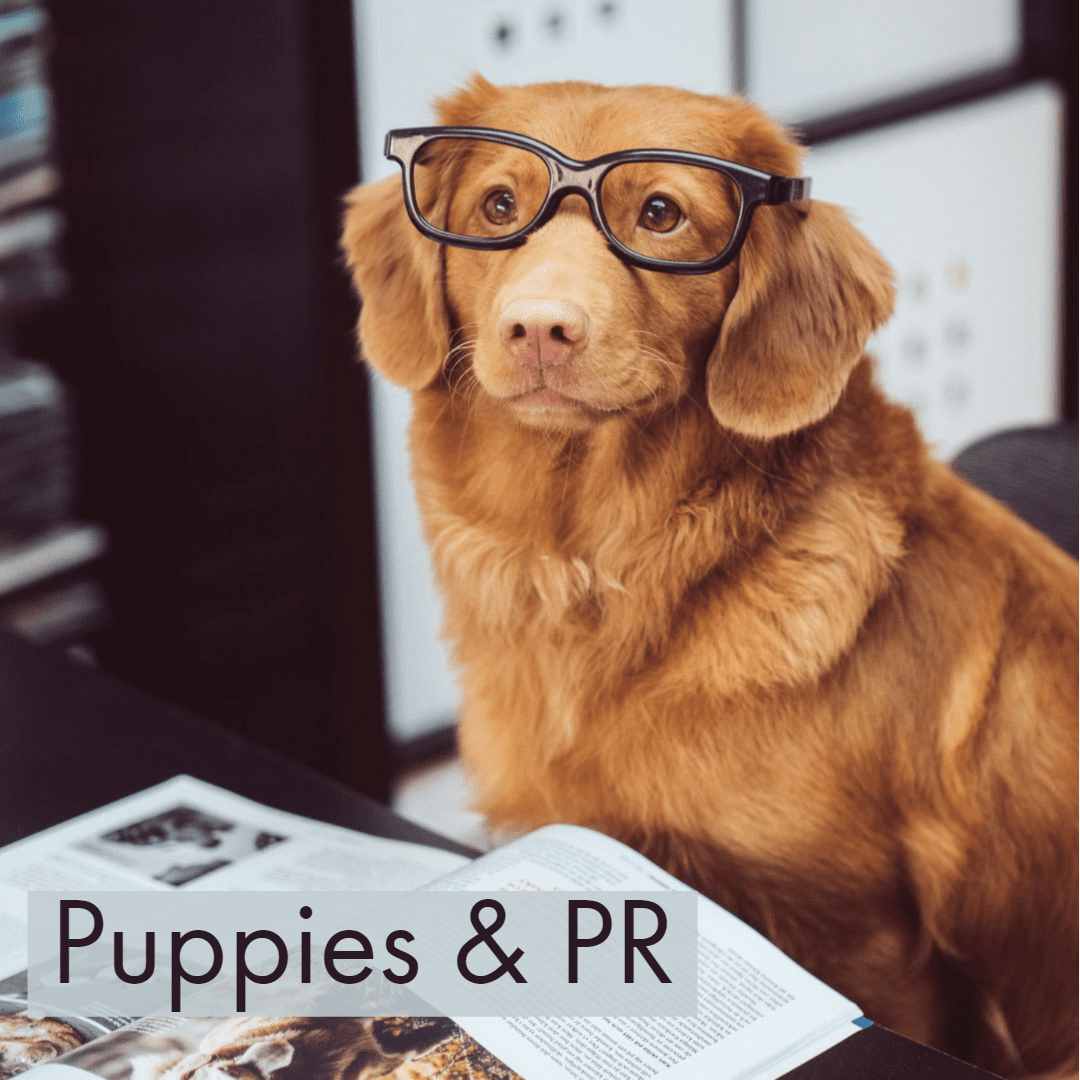 Puppies pr