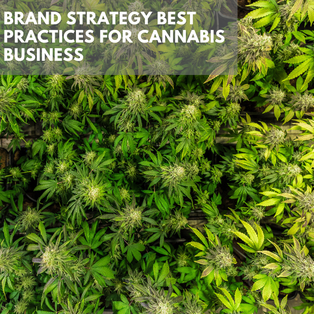 Brand Strategy Best Practices For Cannabis Business